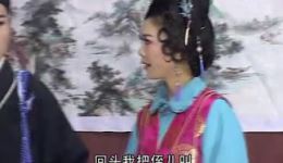 庐剧《珍珠塔》全场视频下载 魏晓波汪莉主演 高清mp4/mp3资源获取下载