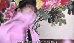 庐剧《珍珠塔》二全场视频mp4/mp3下载，经典戏曲资源免费获取