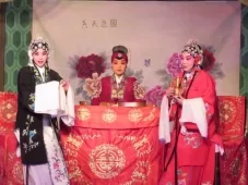 安国老调《罗通扫北》全场资源下载，袁新爱、吕迎欣、郑小翠实力演唱，经典戏曲不容错过