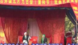 白玉楼讨饭