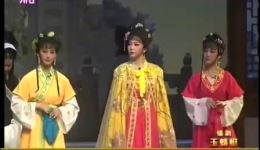玉蜻蜓