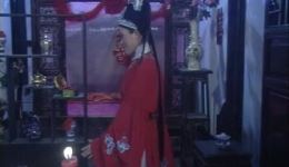张彦休妻