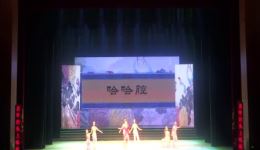 王小打鸟