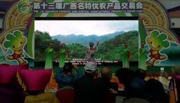 桂剧《景中仙子》高清下载|经典奇幻戏曲资源,沉浸式体验传统艺术魅力 桂剧《景中仙子》高清下载|经典奇幻戏曲资源,沉浸式体验传统艺术魅力