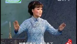 黄梅戏《寸草心》全场高清下载-黄金峰主演抗日题材经典戏曲mp3/mp4资源