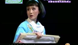 黄梅戏《风尘女画家》全场mp3/mp4下载，孙娟余顺主演，经典戏曲资源一键获取下载