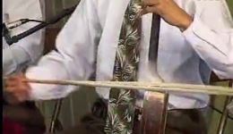 河南坠子《罗红征南》全本1-4集合并 陈艳丽演唱 经典戏曲在线下载下载
