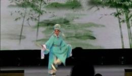 柳腔经典《梁祝》选段，王瑞萍倾情演绎，感受传统戏曲的细腻韵味与动人情怀下载