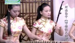 河南坠子《呼杨侠义传》01集在线收听与下载，范翠王建国演绎经典侠义故事