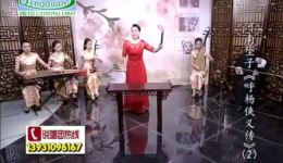 河南坠子《呼杨侠义传》02集高清资源下载｜范翠霞王建国演绎经典侠义故事