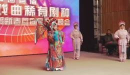 淮调经典《五凤岭·观旗》王秀娟演绎,非遗戏曲在线观看下载 淮调经典《五凤岭·观旗》王秀娟演绎,非遗戏曲在线观看下载