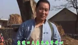 戏妻