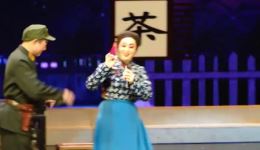 沙家浜.智斗