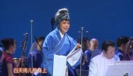 花鼓戏《卖母为奴》戴瑛演唱选段，经典孝道题材戏曲在线下载