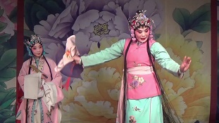 京剧《卖水》选场资源下载，赵喜琴精彩演绎，经典戏曲不容错过下载