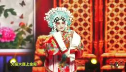 太康道情高清资源下载，经典剧目精彩呈现，感受下载
