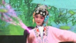 西路评剧《王少安赶船》柳门闫氏岳子俊刘馨阳演唱，经典唱段在线收听