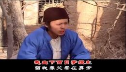 养子