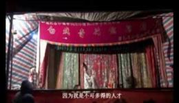 粤西白戏《双宝球》全集下载，黄广槐主演传统下载