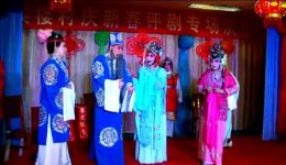 红丝错