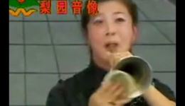 打銮驾