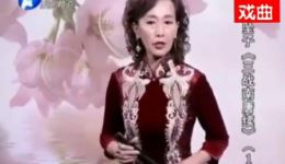 三战南唐续
