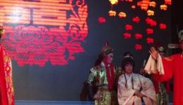 闽剧《错认驸马》经典片段及大结局在线观看，郑枝、黄晓霞等实力演绎，感受非遗戏曲魅力下载