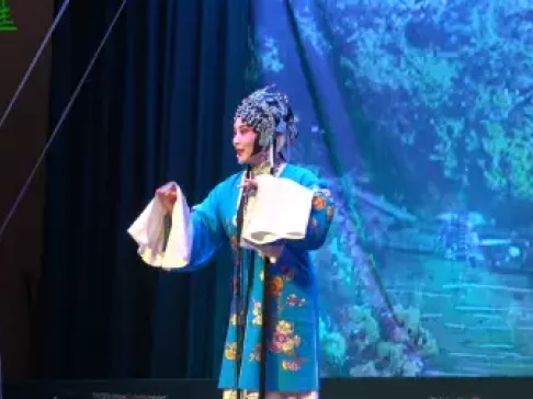 武安平调《桃花庵 站门楼》王红演唱经典片段，非遗戏曲在线欣赏