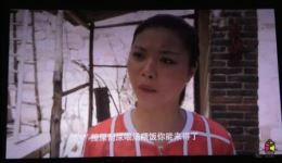 花喜鹊