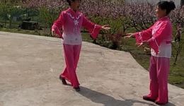 乐昌花鼓戏广东省级非遗传统小戏，350年民间艺术瑰宝在线下载
