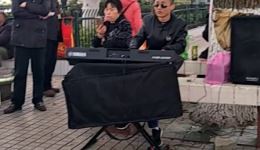 山伯访友