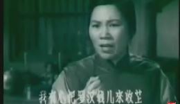 罗汉钱