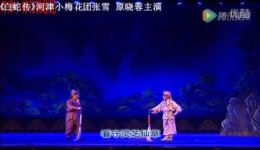 蒲剧《白蛇传》下载传统与创新融合的经典戏曲资源