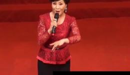 穆桂英挂帅