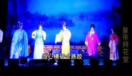 雷剧《皇帝拜花堂》选段下载，高清戏曲片段，领略传统雷剧魅力