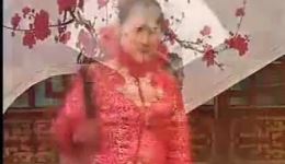 新媳妇打婆婆