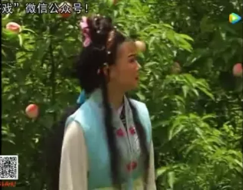 高安采茶戏《断臂姻缘》全集下载｜江西传统戏曲经典剧目在线获取