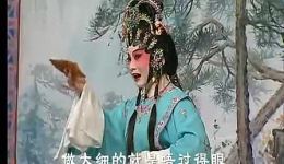 花染状元红