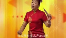 河南坠子《王华买爹后传》——豫东坠子名家朱云阁倾情演唱，经典曲艺在线畅享