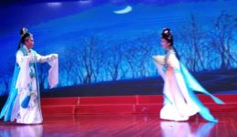 双飞翼·杏林重逢