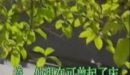 沪剧《雷雨》盘凤选段下载萧雅舒悦经典演绎，感受封建家庭人性纠葛下载