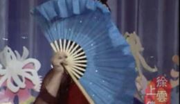 二人转正戏《罗章跪楼》小豆豆赵小军联袂演绎，经典罗家将故事在线下载下载