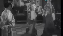 借亲配