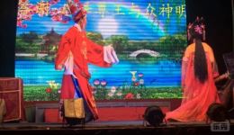 醉打金枝