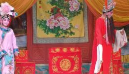 杨八郎刺萧