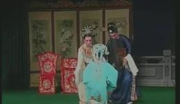 杨天梅