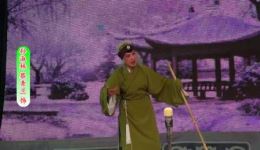 同根异果