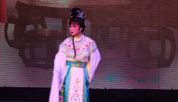 梁祝十相思