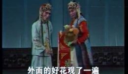 观花