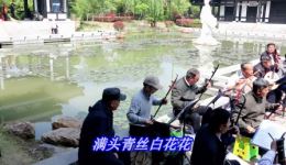 淮海戏经典片段《劝嫁》魏芹演唱，小拐棍选段在线下载